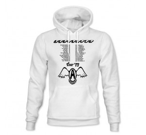 Aerosmith 13